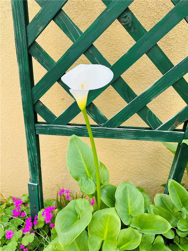 6225 Coldwater Canyon Avenue 117, North Hollywood, California 91606 home-pic-12